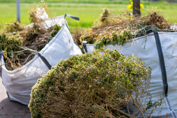 Best Commercial Cleanout Services  in Point Marion, PA
